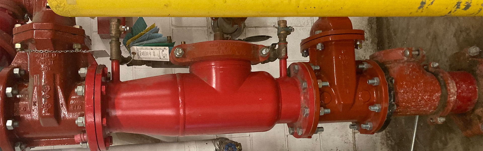 Backflow Systems